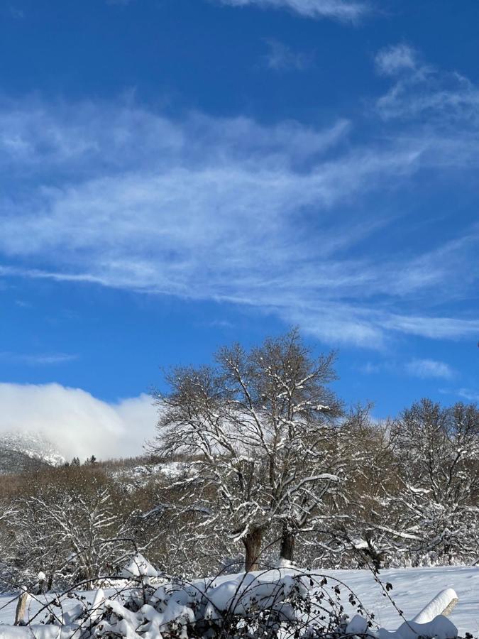 Apartament La Holandesa Cercedilla Zewnętrze zdjęcie